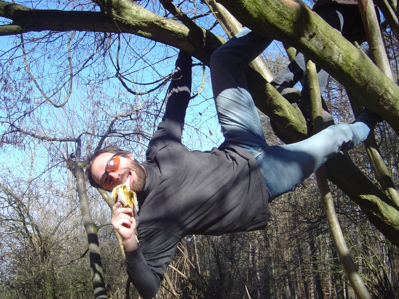 der Oberaffe
