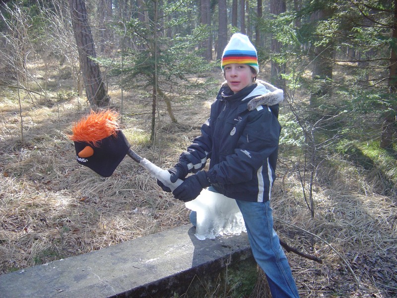 kleiner Ritt durch den Wald