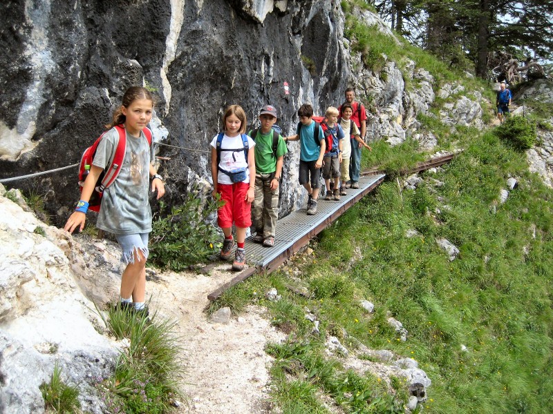 Schmaler Eisensteg ber eine Steilwiese
