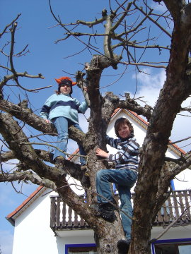 #01 Lisa und David- wollen hochhinaus!