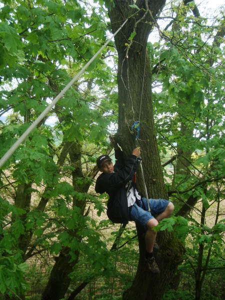 Schlielich haben wir das Seil doch auf den Baum gebracht - Marvin