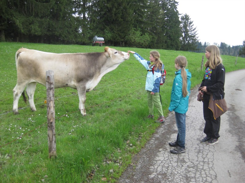 Landleben...