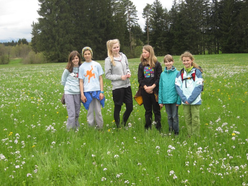 unsere Mdels im Grnen