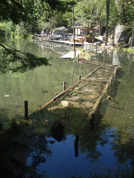 Endlich erreichen wir den idyllischen Winkelbergsee